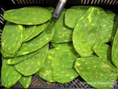 Nopales