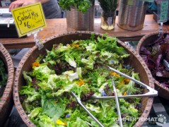 Salad Mix Salad Mix