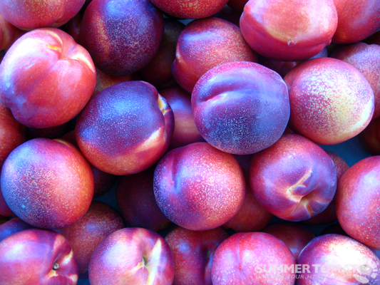 White Nectarines White Nectarines