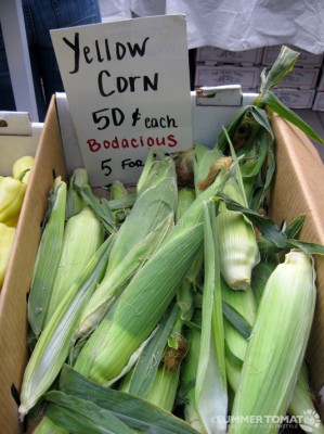 Bodacious Yellow Corn Bodacious Yellow Corn
