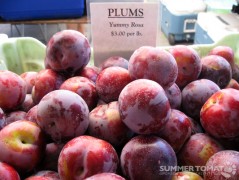 Yummy Rosa Pluots