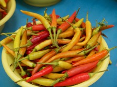 Thai Chilies Thai Chilies