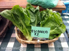 Escarole