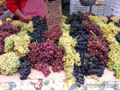 Seedless Grapes
