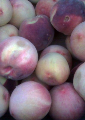 White-Peaches White Peaches