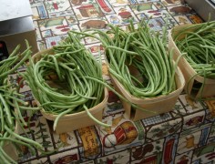 Chinese Long Beans