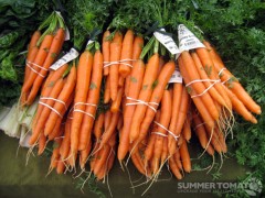 Carrots