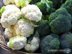 Cauliflower and Broccoli