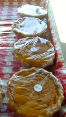 Homemade Pumpkin Pies Homemade Pumpkin Pies
