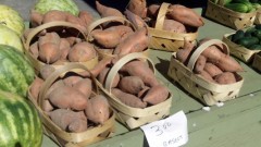 Sweet Potato Baskets Sweet Potato Baskets
