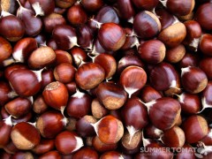 Fresh Chestnuts Fresh Chestnuts