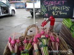 Scarlet Turnips
