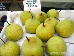 Shin Li Asian Pears Shin Li Asian Pears
