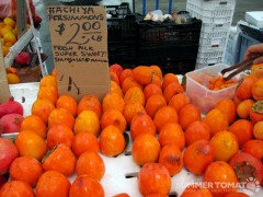 Hachiya Persimmons