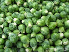 Brussels Sprouts