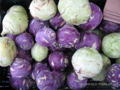 Green and Purple Kohlrabi