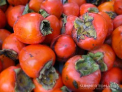Hachiya Persimmons