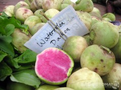 Watermelon Daikon