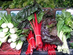 Winter Greens
