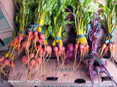 Baby Beets
