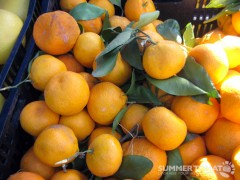 Satsumas
