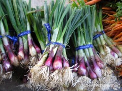 Spring Onions
