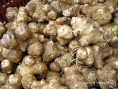 Sunchokes Sunchokes