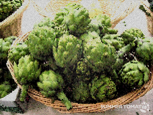 Artistic Artichokes Artistic Artichokes