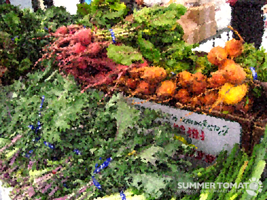 Artistic Beets Artistic Beets