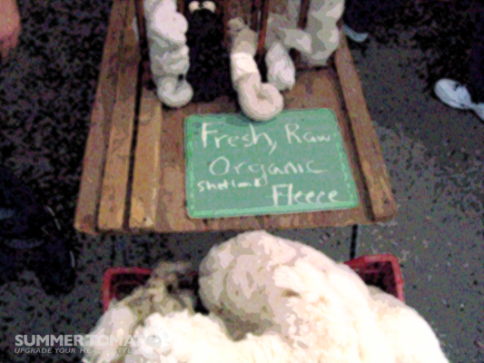 Artistic Fleece Artistic Fleece