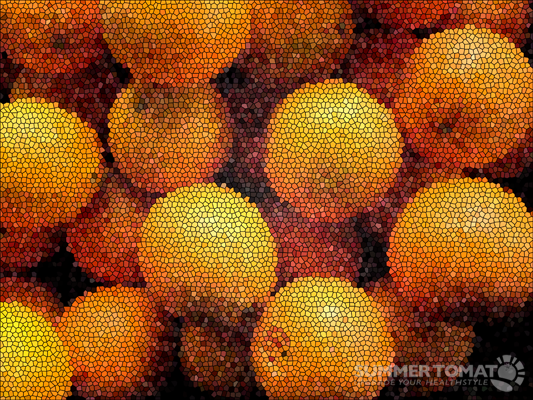 Artistic Oranges Artistic Oranges
