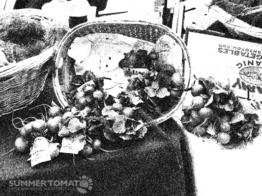 Artistic Radishes Artistic Radishes