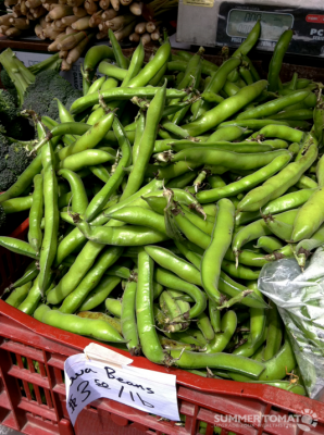 KR Fava Beans Fava Beans