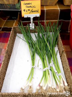 KR Green Garlic Green Garlic