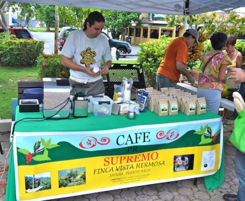 Coffee - Hacienda Vista Hermosa Coffee - Hacienda Vista Hermosa