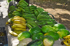Green Papaya Green and Ripe Plantains Green Papaya Green and Ripe Plantains