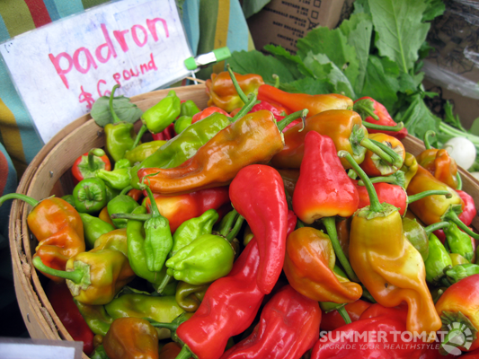 Padrons Padrons