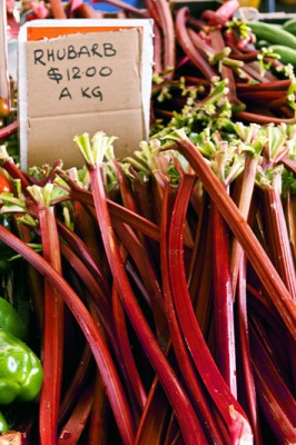 Rhubarb