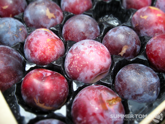Yummy Rosa Pluots Yummy Rosa Pluots