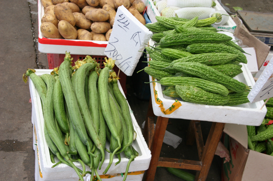 Soft Cucumber and Bitter Melon Soft Cucumber and Bitter Melon