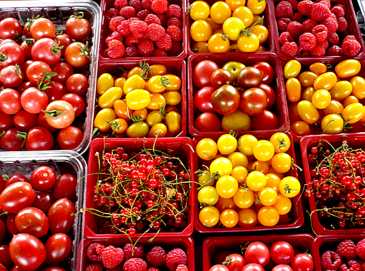 Tomatoes Tomatoes