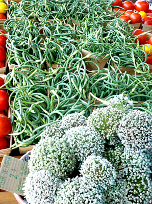 Leek Flowers Leek Flowers
