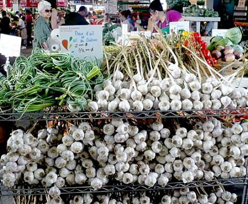 Garlic Garlic