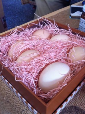 Eggs Eggs