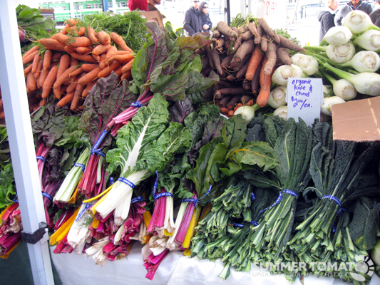 Rainbow Chard and Kale Rainbow Chard and Kale