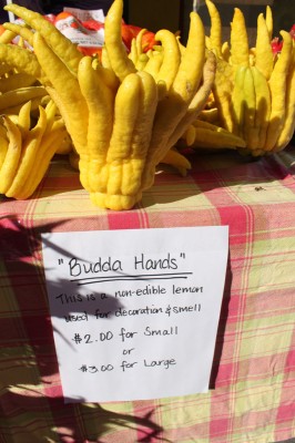 Buddha's Hands