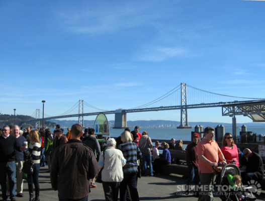 Bay Bridge
