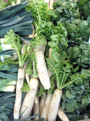 Daikon